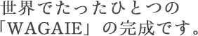 世界でたったひとつの「WAGAIE」の完成です。