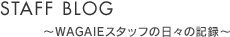 スタッフブログ - WAGAIEスタッフの日々の記録