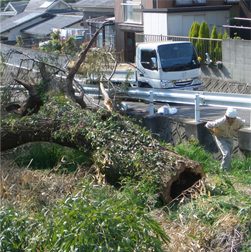 自分の山の木でつくりたい。