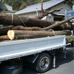 自分の山の木でつくりたい。