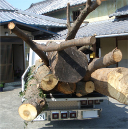 自分の山の木でつくりたい。