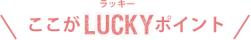 ここがLUCKYポイント